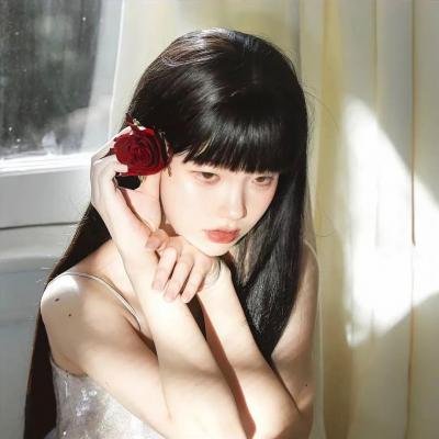铁胆神枪